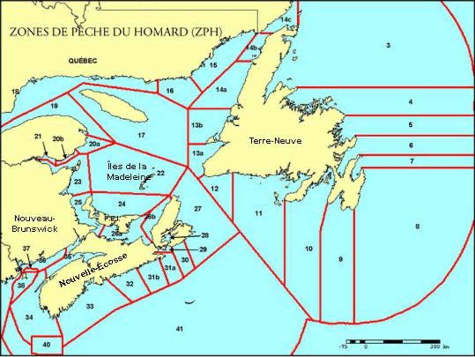 Le prix du homard fléchit mais reste élevé RadioCanada.ca