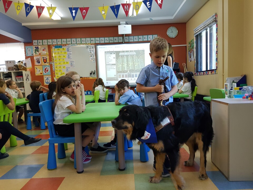 La chienne dans une classe avec les élèves