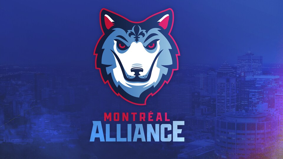 Une image du nom et du logo d'une équipe de basketball, qui représente un loup.