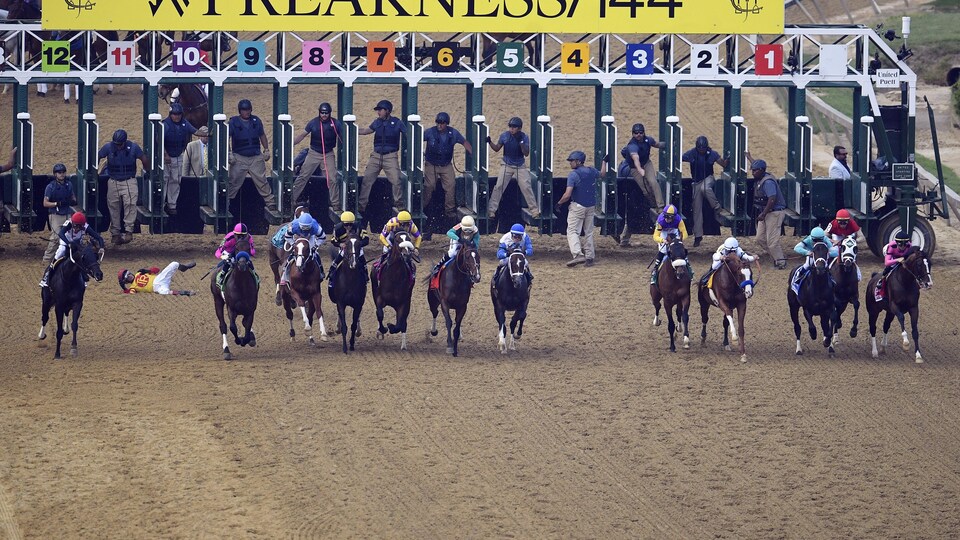 Les chevaux s'élancent sur la piste.