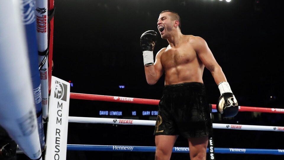 David Lemieux
