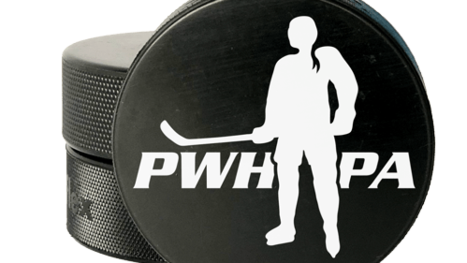 Logo de l'Association des joueuses de hockey professionnelles