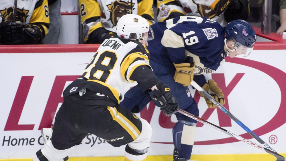 Marina Studenic (à gauche), des Bulldogs de Hamilton, tente d'enlever la rondelle à Jake Leschyshyn, des Pats de Regina.