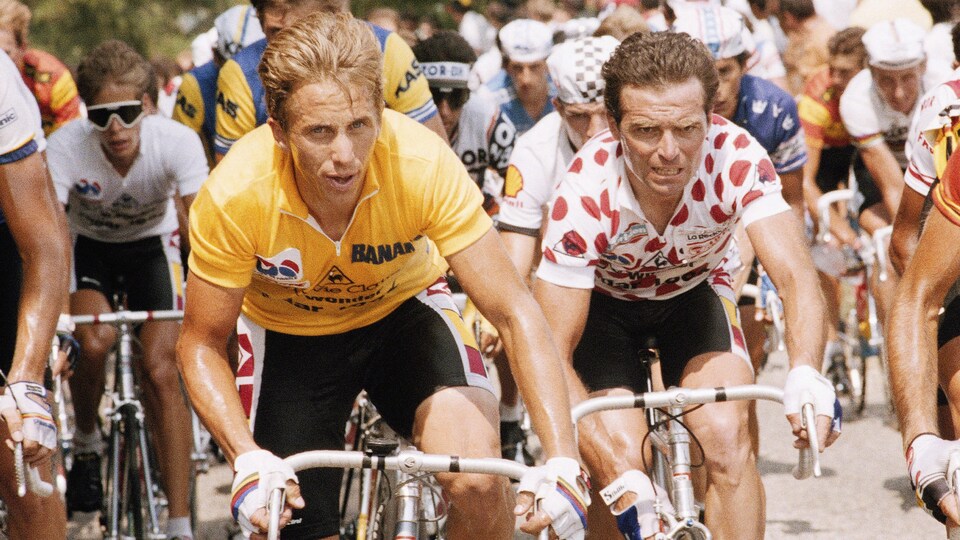 Les deux cyclistes, au coeur du peloton, l'un en jaune et l'autre avec un maillot à pois, pédalent. 