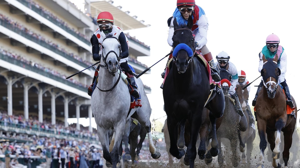 Des chevaux font la course dans un hippodrome.