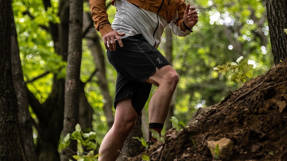 Il court dans le bois.
