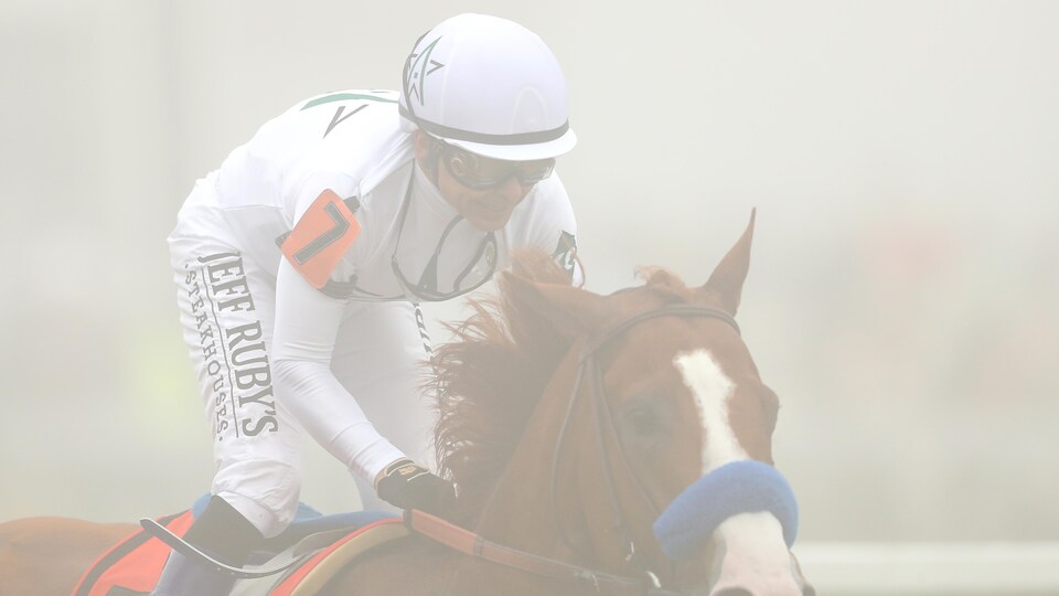 Le jockey Mike Smith sur son cheval Justify