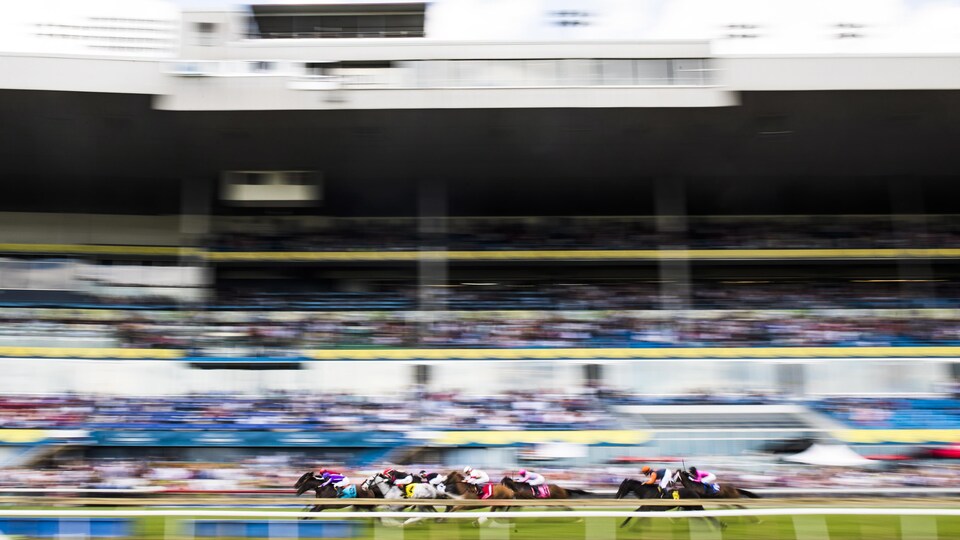 Une course à la piste de Woodbine, à Toronto