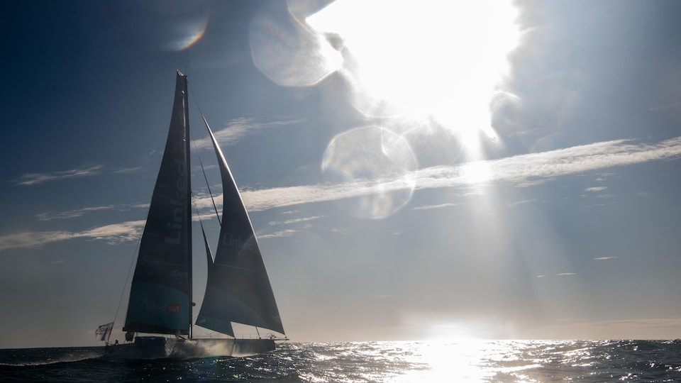 Le Medecin Du Vendee Globe Ce Saint Bernard Des Mers Vous Avez Vu Radio Canada Ca