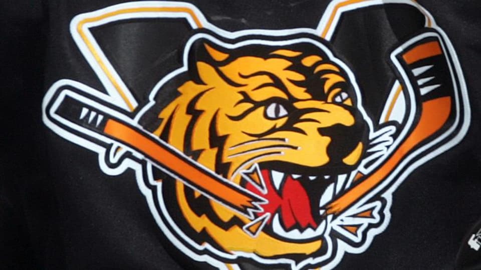 Un tigre brise un bâton de hockey avec sa gueule.