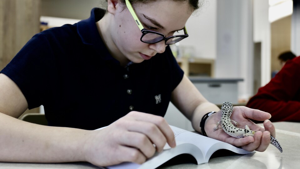 Une élève fait ses devoir en tenant un un reptile dans sa main gauche.