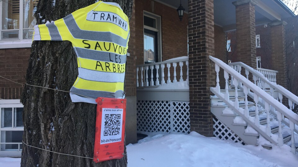 Un chandail jaune et blanc, accroché à un arbre, sur lequel il est écrit Tramway : sauvons les arbres