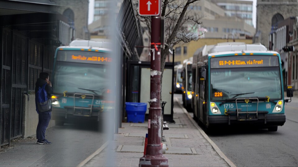 Une file d'autobus près des arrêts de la STO à Gatineau.