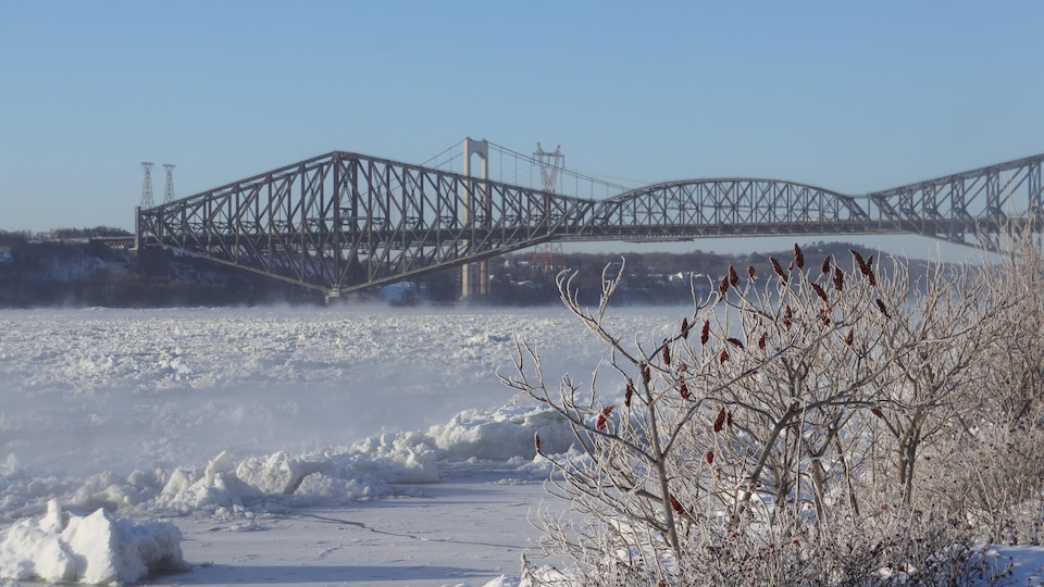 Le pont de Québec et le pont Pierre-Laporte vus de loin l'hiver.