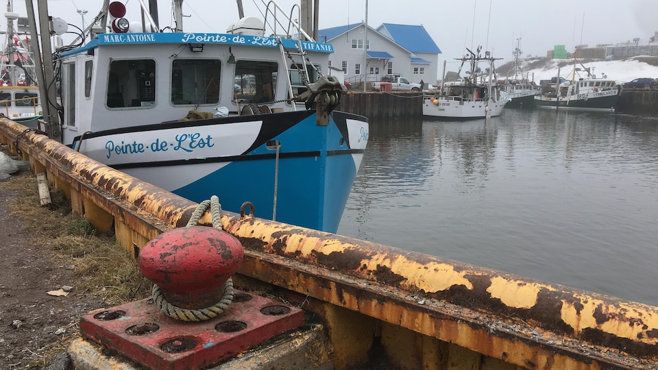 Bateaux de pêche au homard à Sainte-Thérèse-de-Gaspé