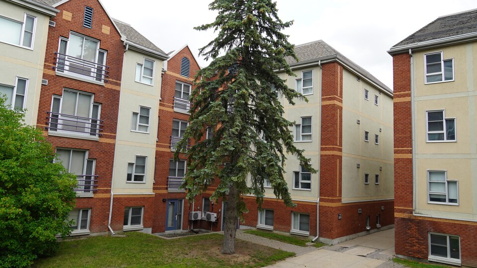 Des immeubles avec des arbres devant.