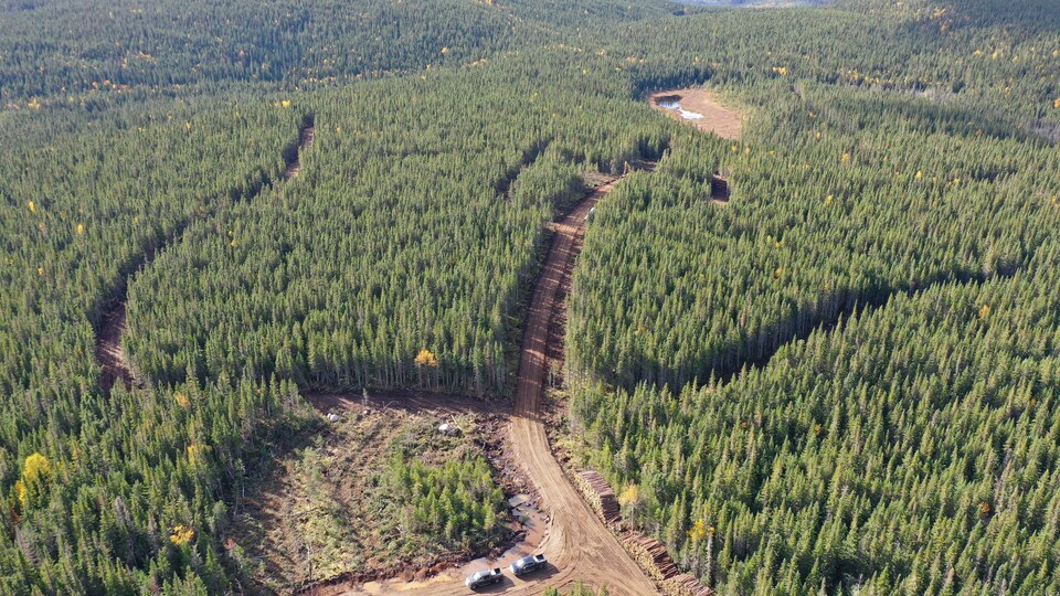 Vue aérienne de l'aménagement dans la forêt de Charlevoix.