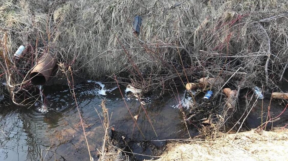 Des déchets dans un ruisseau aux abords d'un champ.