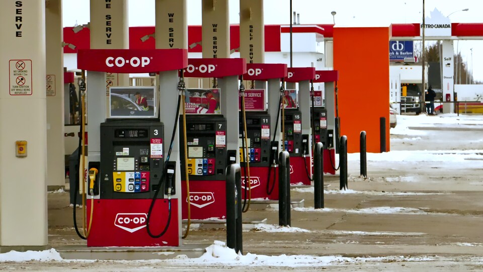 Les pompes à essence d'une station-service de Co-op et Petro Canada à Regina.