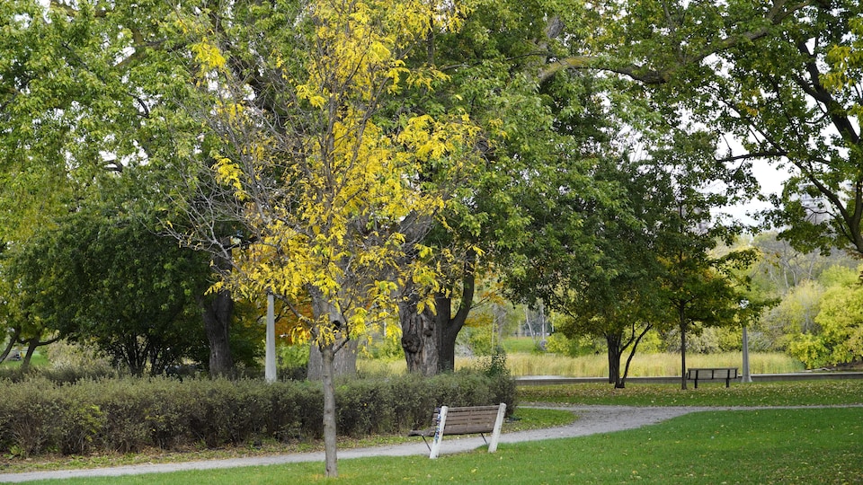 L'automne au parc Strathcona d'Ottawa.