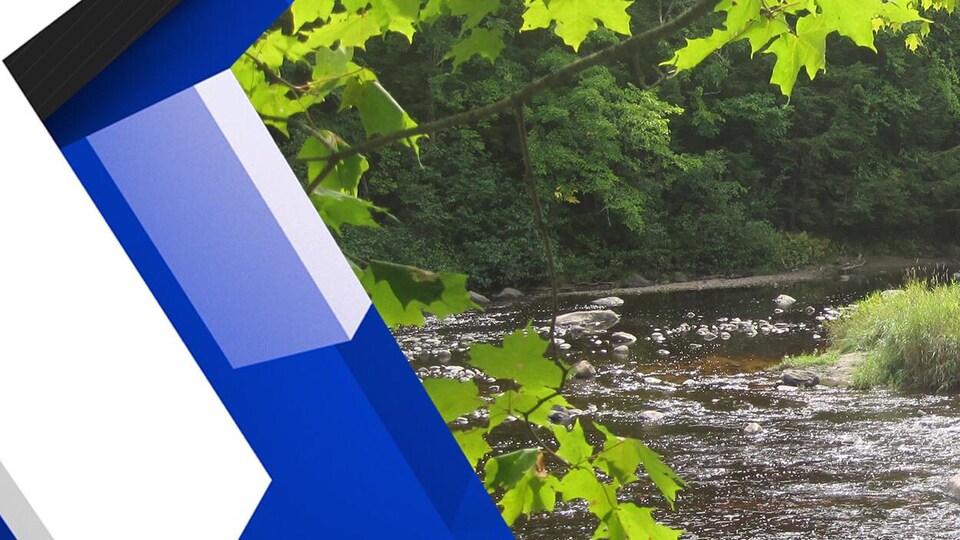 Une rivière en été.