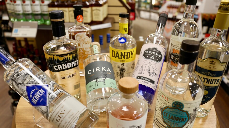 Du gin québécois à la SAQ.