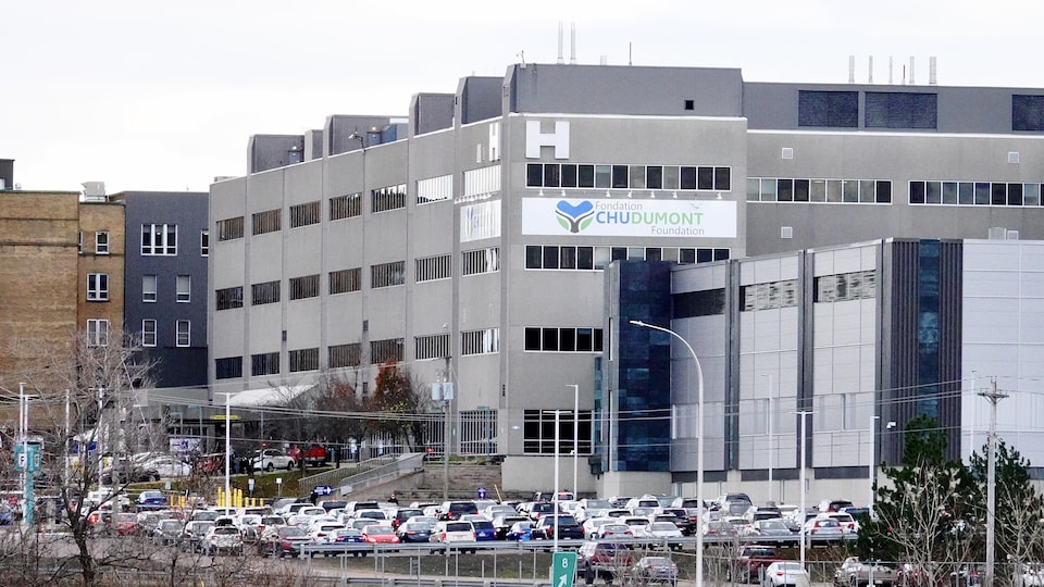 Centre Hospitalier Universitaire Dr Georges L Dumont