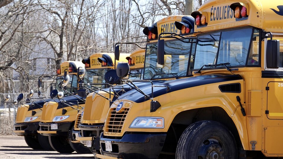 Des autobus scolaires stationnés.
