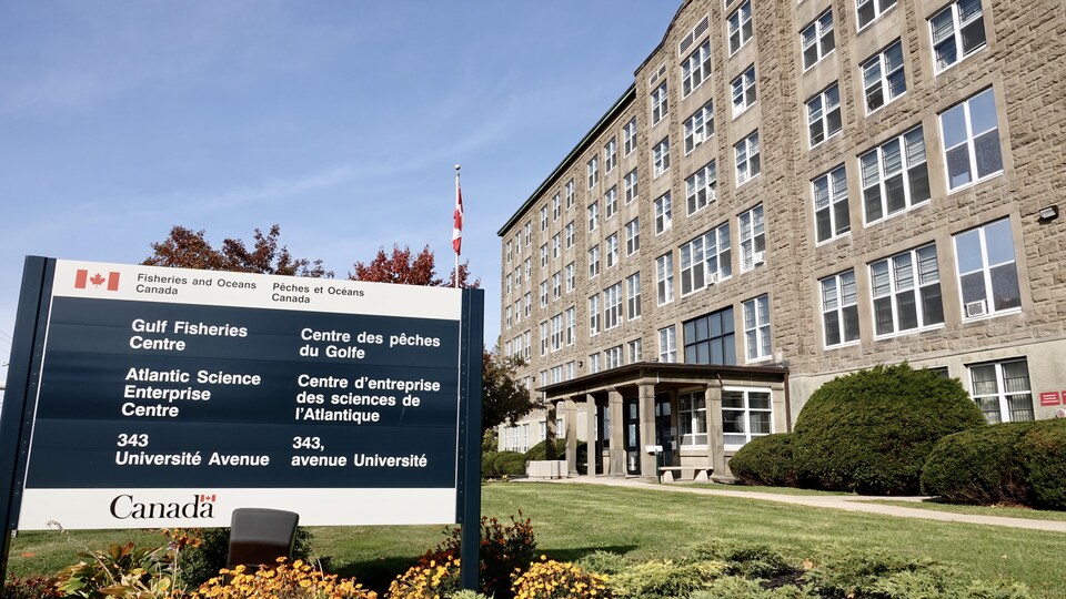 Bureaux du gouvernement fédéral à Moncton.