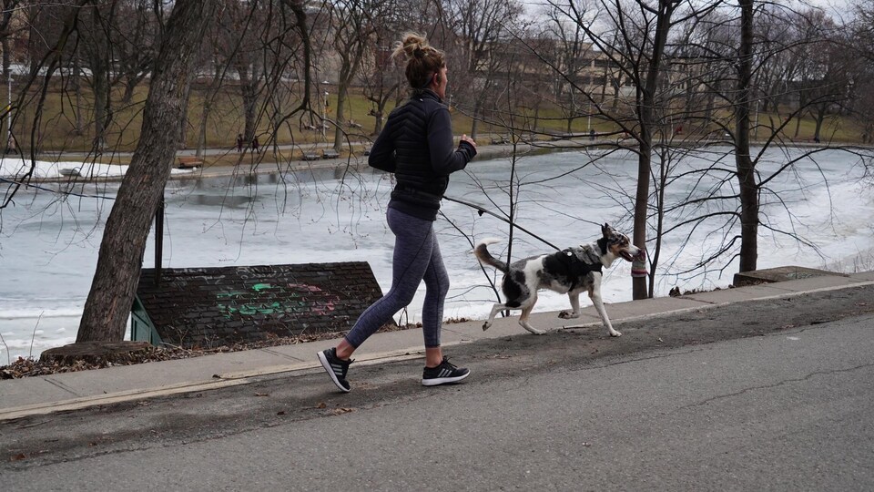 Une femme fait de la course à pied avec son chien.