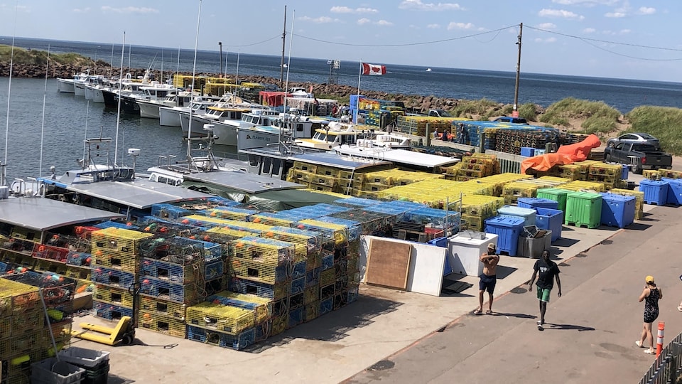 Des gens circulent sur un quai où sont empilés des dizaines de casiers à homard.