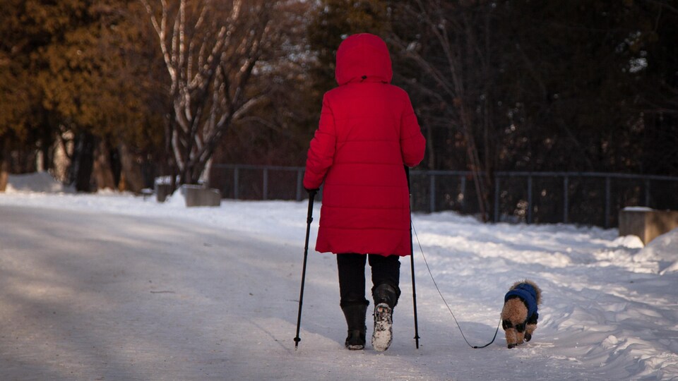 Un petit chien en compagnie de sa maîtresse lors d'une marche hivernale.