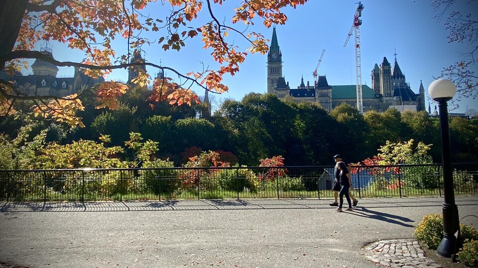 Deux personnes marchent sur un sentier du parc près d'un arbres aux feuilles oranges.