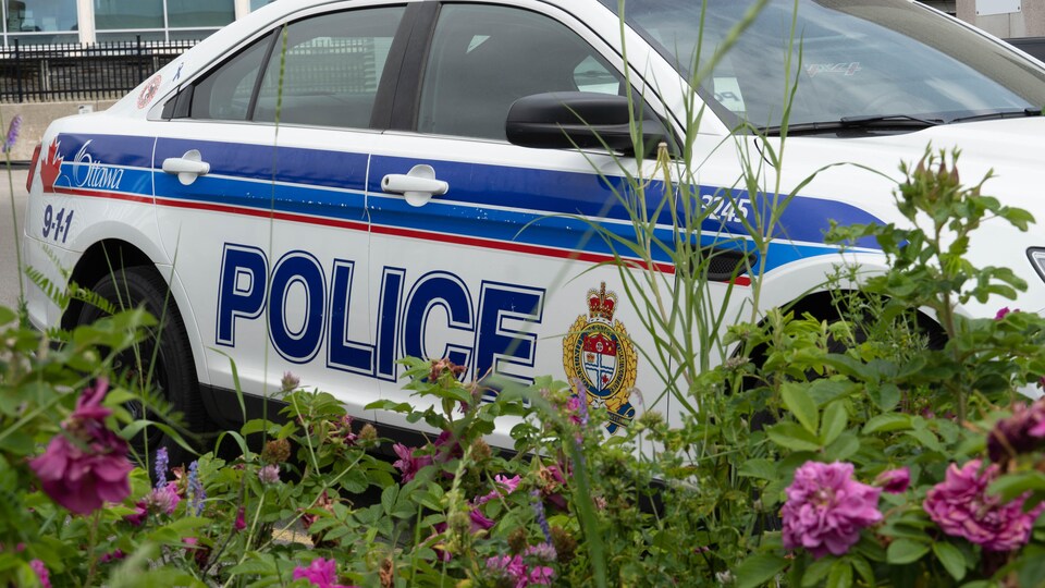 Une voiture du Service de police d'Ottawa est stationnée tout près d'une plate-bande florissante.