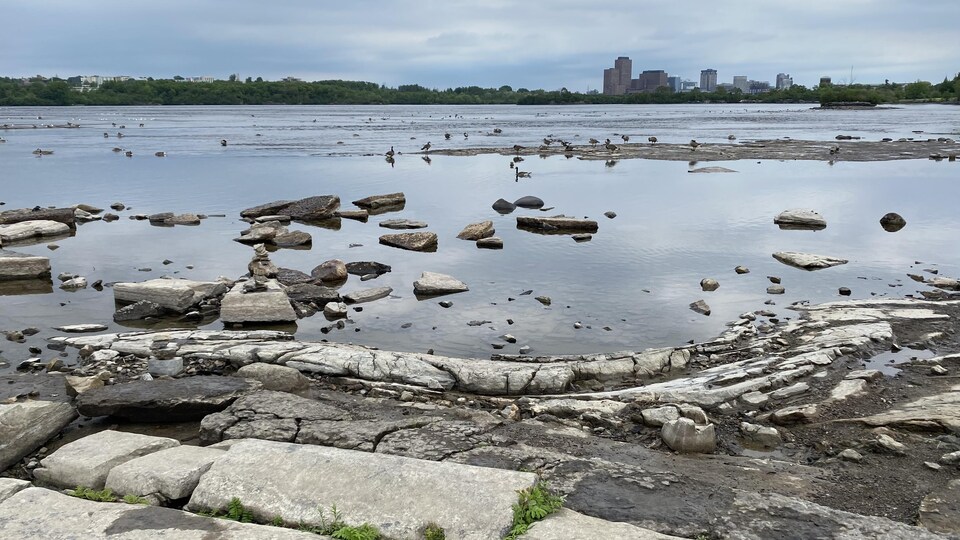 La rivière des Outaouais, vue de l'eau.