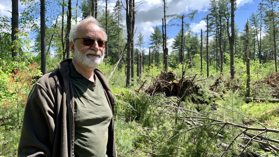 Jean Saint-Pierre pose devant un boisé où des arbres sont tombés lors du derecho du 21 mai 2022.