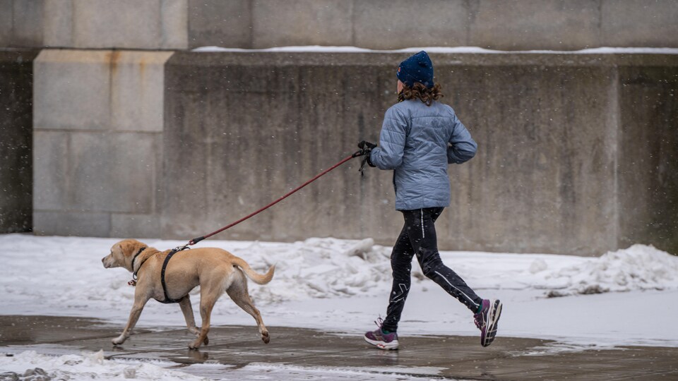 Une personne court sur le trottoir avec son chien en laisse. 