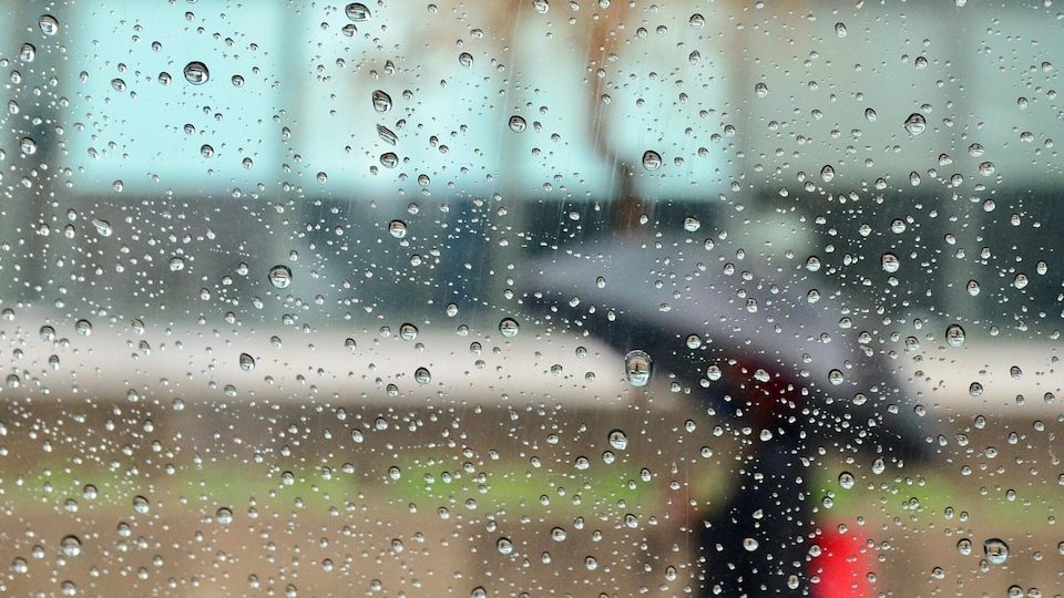 Une personne portant un parapluie.