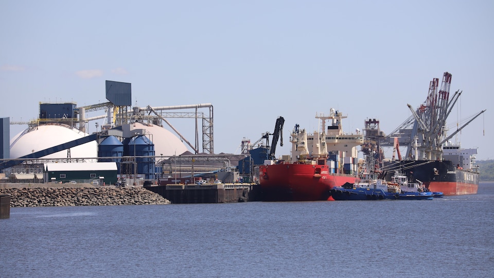 Des navires amarrés au port de Québec en été.