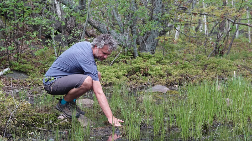 David Lesbarrères près d'un étang.