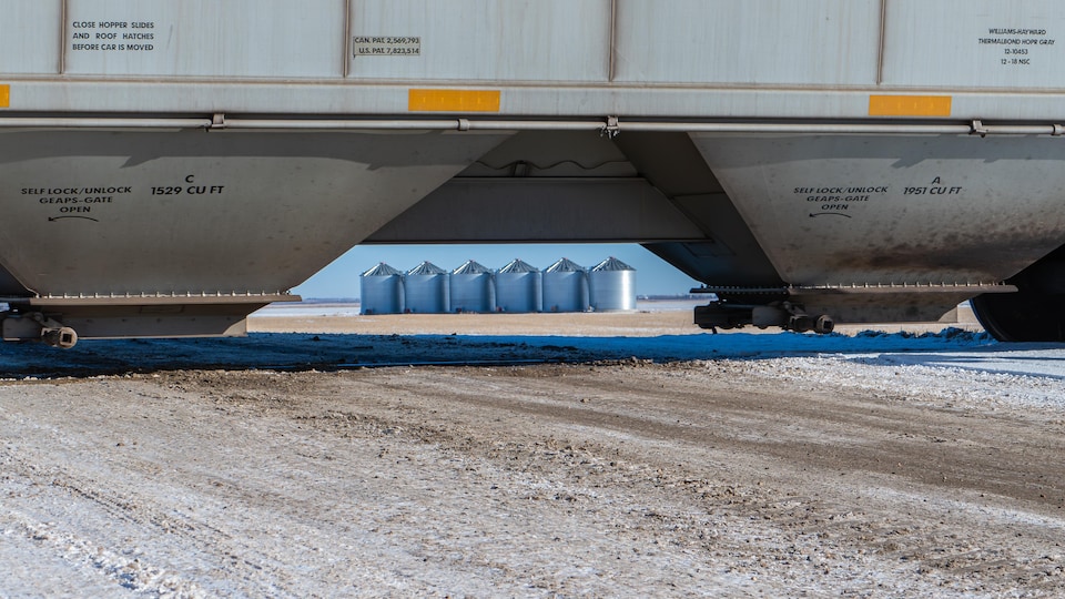 
Un train avec des silos à grains à l'arrière-plan près de Regina, en Saskatchewan, en novembre 2023.
