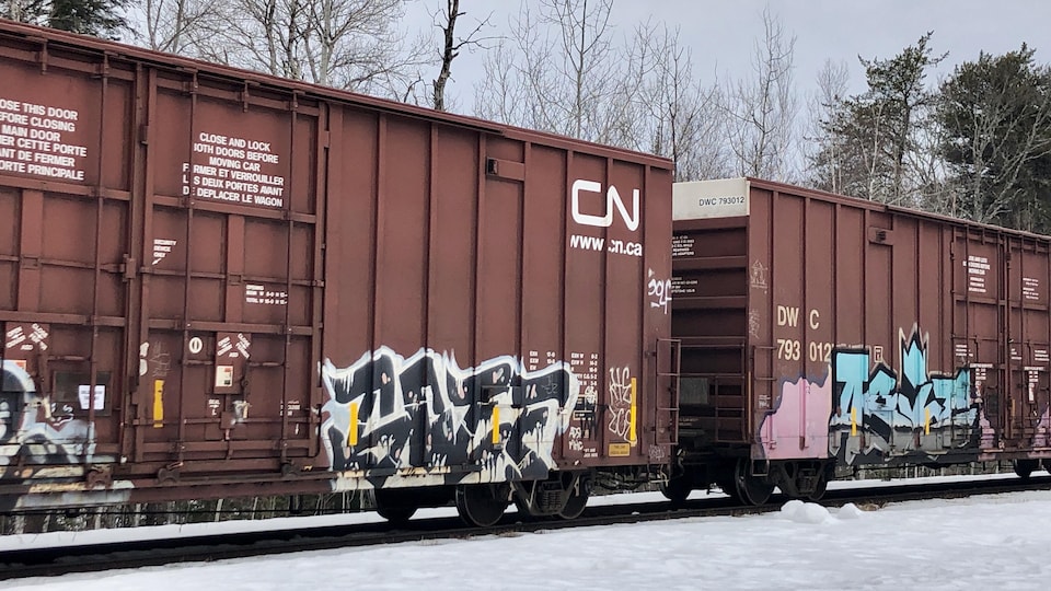 Deux wagons de train couverts de graffitis immobilisés sur une voie ferrée à la fin de l'hiver.