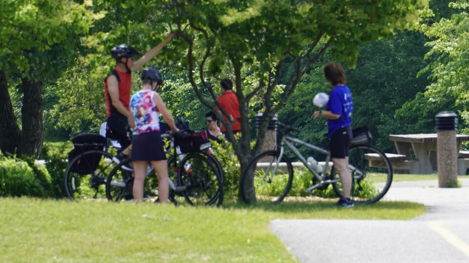 Des cyclistes à l'arrêt parlent entre eux.