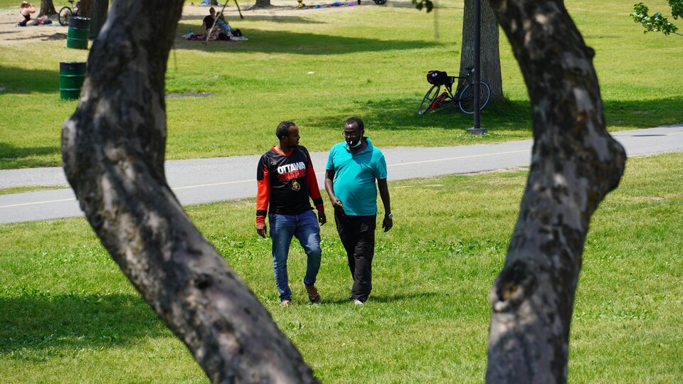 Des gens marchent dans un parc.