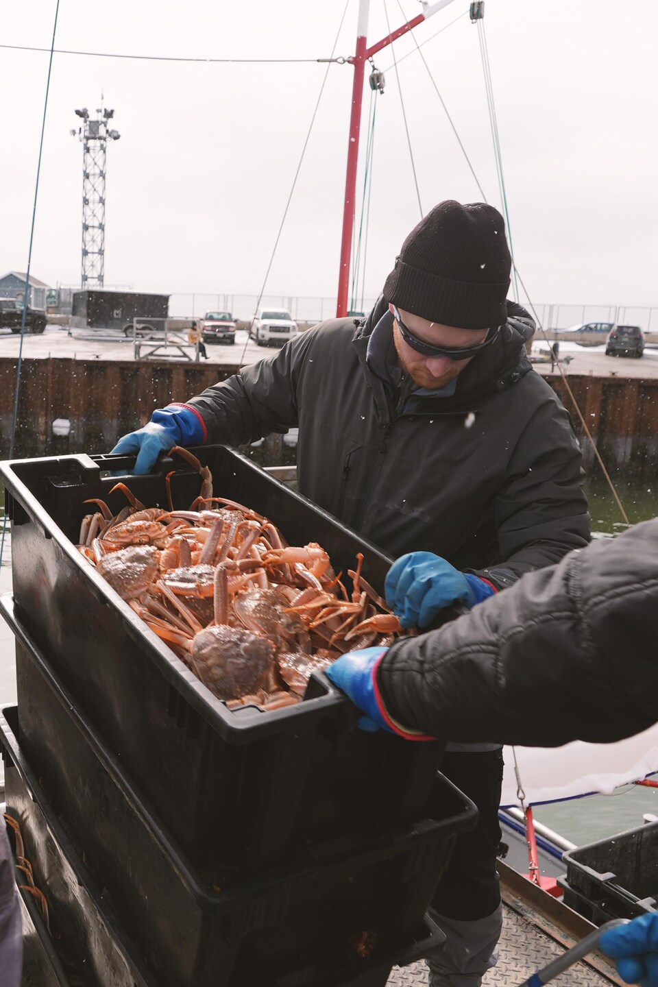Débarquement de crabe à Rimouski.