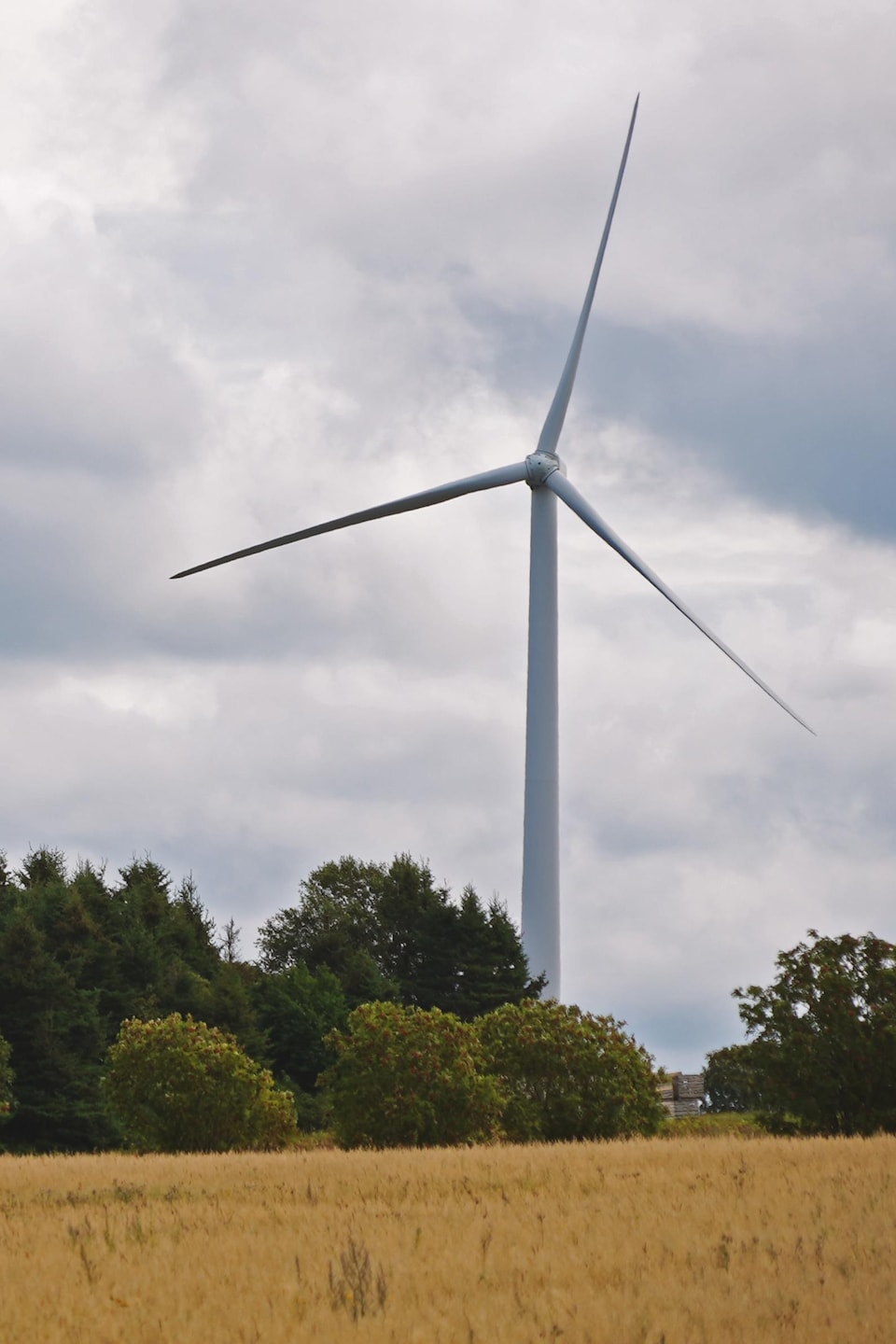 Une éolienne au Bas-Saint-Laurent