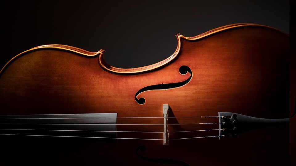 Gros plan sur un instrument à corde (violon ou violoncelle)