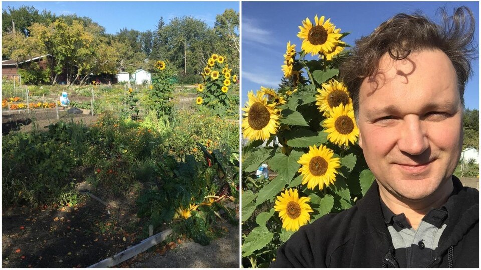 Un homme dans un jardin communautaire à Regina