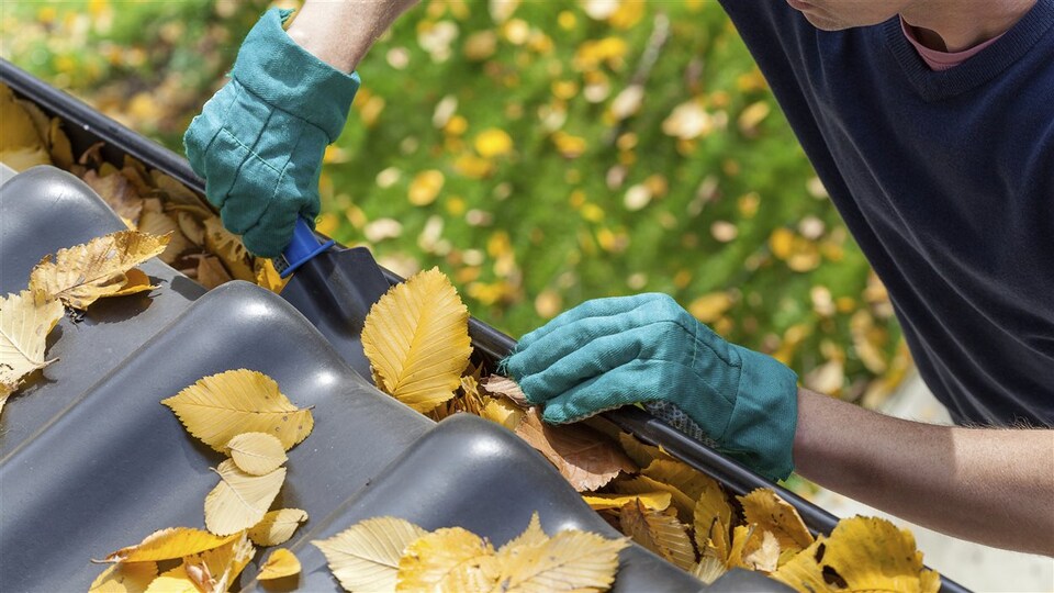 Une personne nettoie une gouttière en automne.