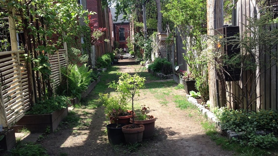 Une ruelle verte de Montréal.